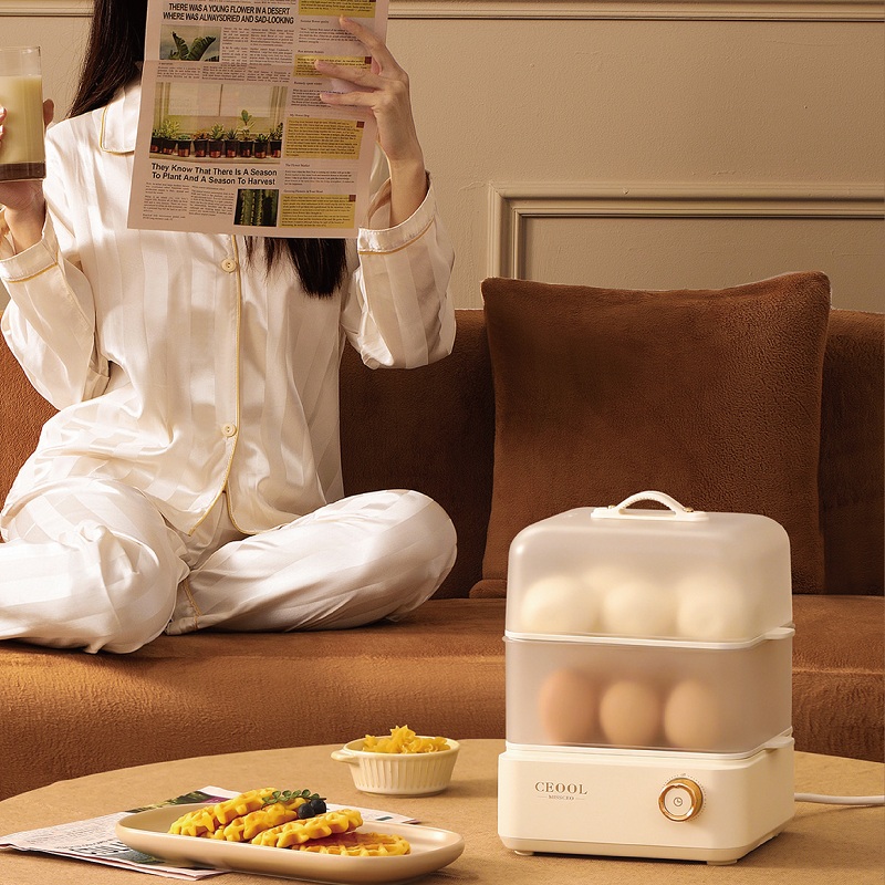 200W Egg Boiler Double Layers  - Egg Cooker Rapid recension och pris